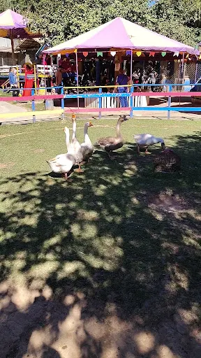 Foto 10 de Fazendinha Velho Jou