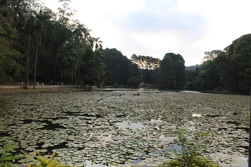 Foto 38 de Parque Horto Florestal - Portões 1 e 2
