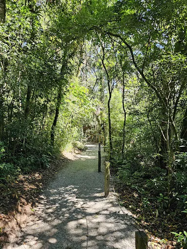 Foto 9 de Parque Amantikir