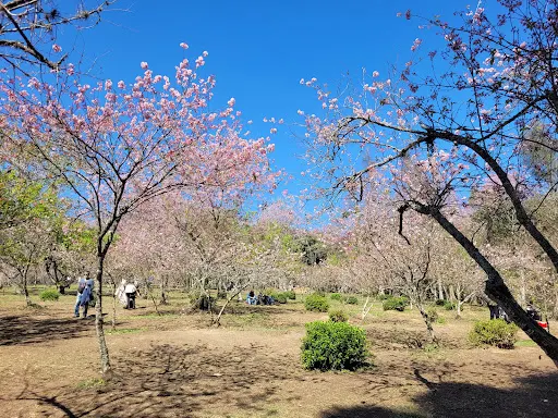 Foto 10 de Área de Proteção Ambiental Parque e Fazenda do Carmo