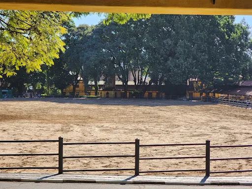 Foto 30 de Parque da Água Branca