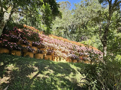 Foto 17 de Parque Amantikir
