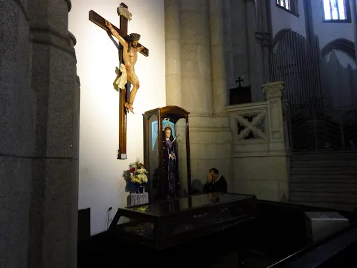 Foto 34 de Catedral Metropolitana Nossa Senhora da Assunção