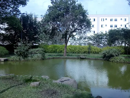 Foto 22 de Parque Takebe