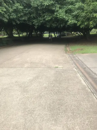 Foto 7 de Parque Estadual do Belém Manoel Pitta
