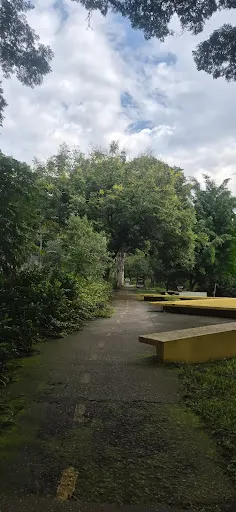 Foto 28 de Praça Vinícius de Moraes