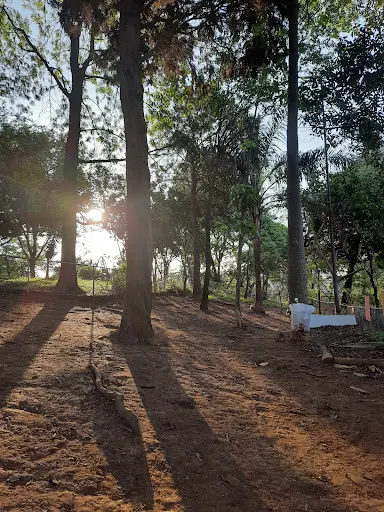 Foto 6 de ParCão Lapa - Praça Amadeu Decome