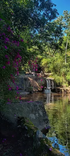 Foto 37 de Trilha Cachoeira da Graça