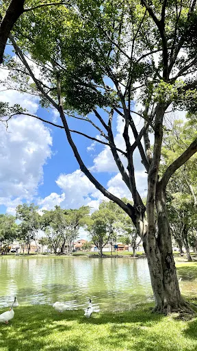 Foto 36 de Parque Lagoa dos Pássaros
