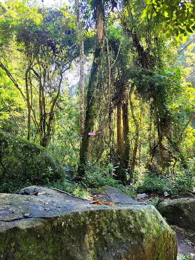 Foto 17 de Trilha Cachoeira da Graça
