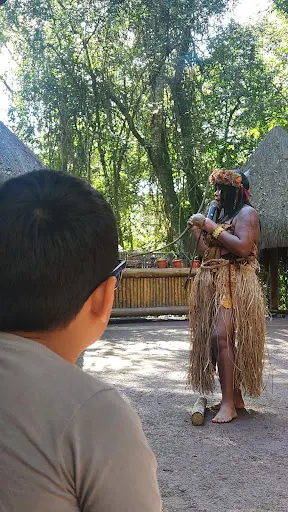 Foto 9 de Sitiolândia