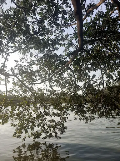 Foto 12 de Lagoa Parque Ecológico do Tietê