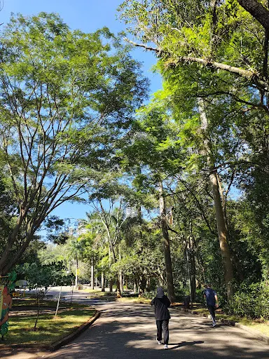 Foto 12 de Parque da Aclimação