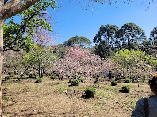 Foto 12 de Área de Proteção Ambiental Parque e Fazenda do Carmo