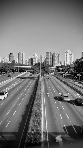Foto 40 de Parque Ibirapuera