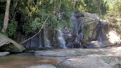 Foto 5 de Trilha Cachoeira da Graça