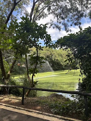 Foto 9 de Parque Ecológico Dionísio Alvarez Mateos