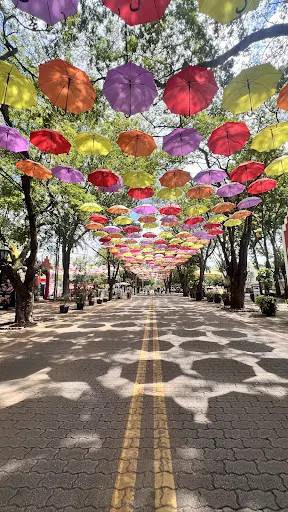Foto 40 de Guarda-chuvas de Holambra