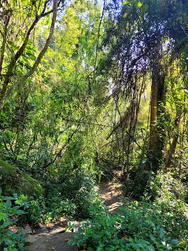 Foto 13 de Trilha Cachoeira da Graça