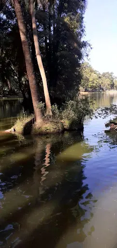 Foto 13 de Parque Horto Florestal - Portões 1 e 2