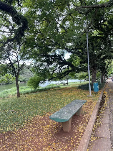 Foto 27 de Parque Ibirapuera
