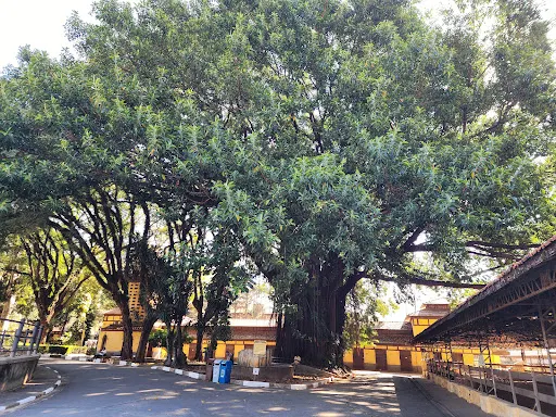 Foto 22 de Parque da Água Branca
