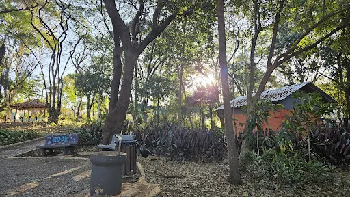 Foto 23 de Parque Zeca Malavazzi