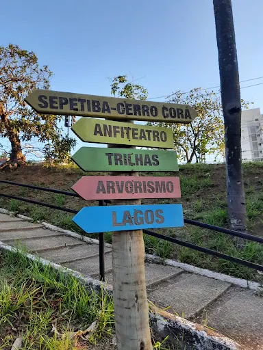 Foto 9 de ParCão Lapa - Praça Amadeu Decome