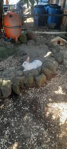 Foto 36 de Fazendinha Velho Jou