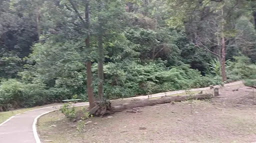 Foto 7 de Parque Ecológico do Jardim Bonança
