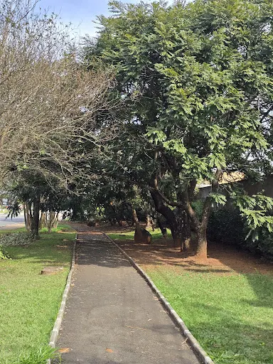 Foto 8 de Portal Turístico da Cidade de Holambra