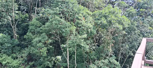Foto 21 de Parque Ecológico Imigrantes