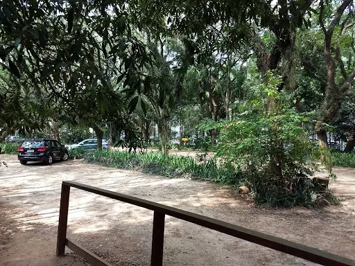 Foto 40 de Parque Alfredo Volpi