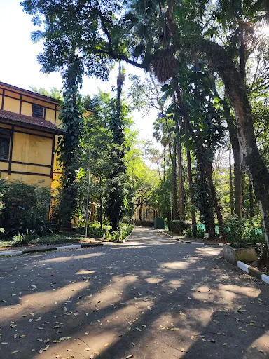 Foto 16 de Parque da Água Branca