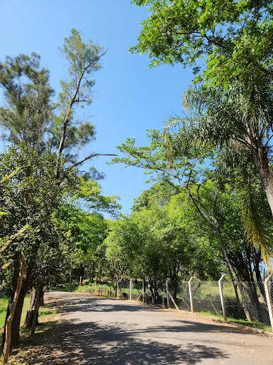 Foto 33 de Parque Ecológico - Ilha do Tamboré