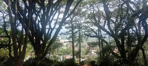Foto 18 de Mirante da Lapa
