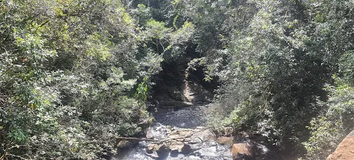 Foto 25 de Cachoeira do Palomar