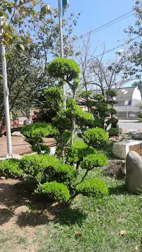 Foto 32 de Próxima Saída Viagens e passeios de um dia
