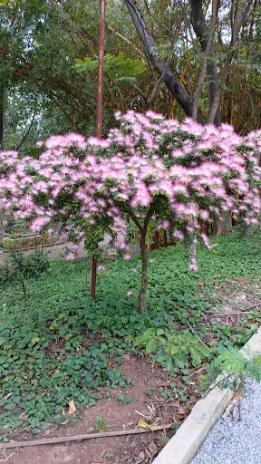 Foto 24 de Parque Linear Tiquatira - Eng. Werner Eugênio Zulauf