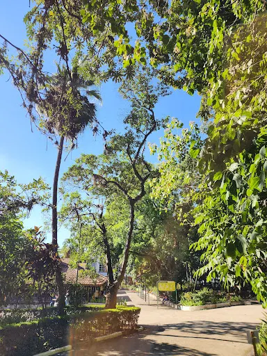 Foto 19 de Parque da Água Branca