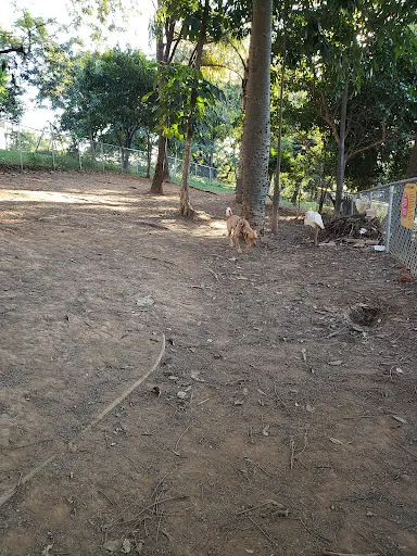 Foto 26 de ParCão Lapa - Praça Amadeu Decome