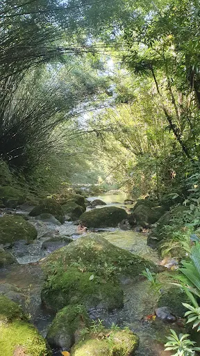 Foto 27 de Cachoeira do Elefante - Biritiba Mirim