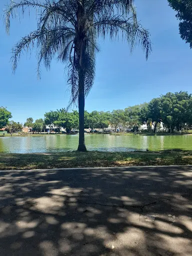 Foto 19 de Parque Lagoa dos Pássaros