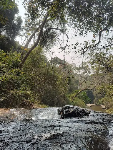 Foto 34 de Trilha Cachoeira da Graça