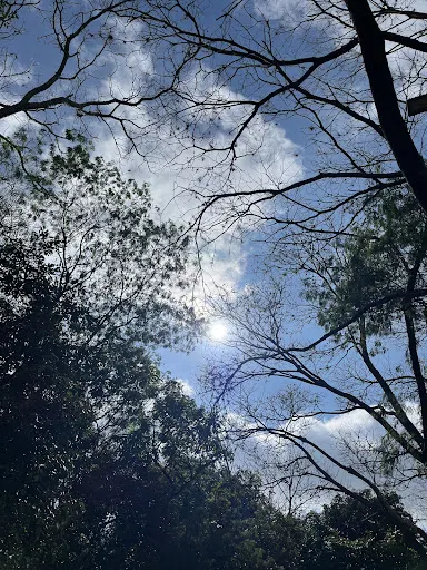 Foto 14 de Parque Ecológico Prof. Hermógenes de Freitas Leitão