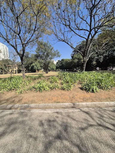 Foto 36 de Parque Estadual do Belém Manoel Pitta