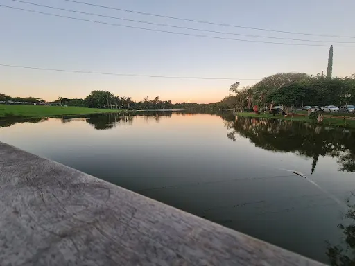 Foto 27 de Lago Vitória Régia