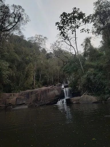 Foto 31 de Trilha Cachoeira da Graça
