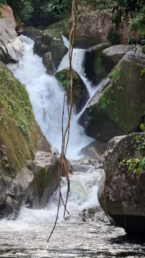 Foto 17 de Cachoeira do Rio Guacá