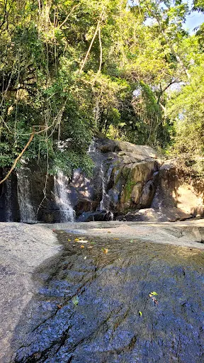 Foto 6 de Trilha Cachoeira da Graça